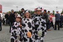 Trois jeunes manifestantes avaient enfilé leurs costumes de vache pour signifier leur appui à la gestion de l’offre. Crédit : Étienne Dupuis