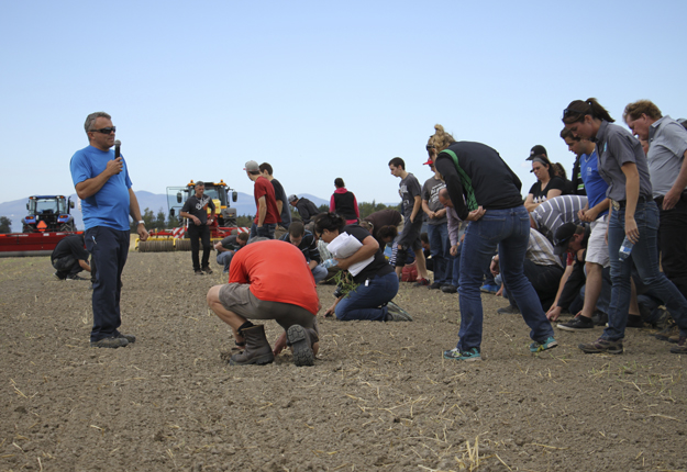 Lors des démonstrations, les participants vérifiaient la qualité du semis. Crédit photo : Martine Giguère/TCN