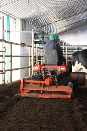 À la Ferme Côte-Rouge, la litière est brassée deux fois par semaine.