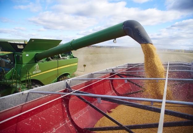 Les Américains ont semé en 2016 leur 3e plus grande superficie de maïs depuis 1944. Les stocks ont également augmenté, ce qui pourrait se traduire par un fléchissement des prix. Crédit photo : Archives/TCN