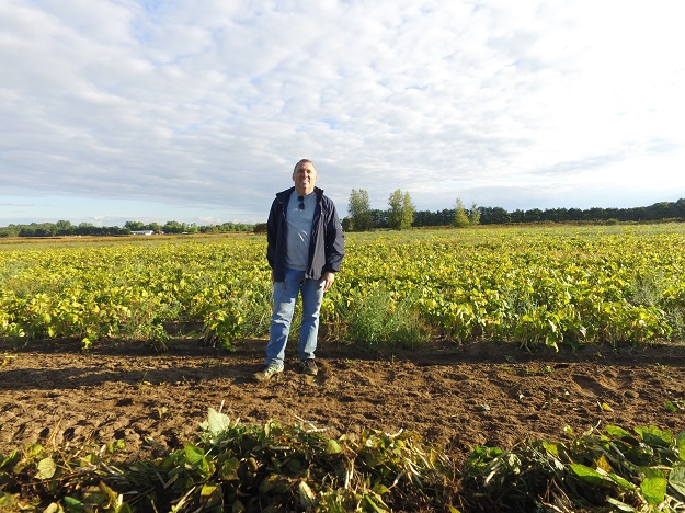Sylvain Raynault a commencé sa récolte de haricots bio vendredi dernier. Sa production sera exportée en Europe. Crédit photo : Sylvain Raynault