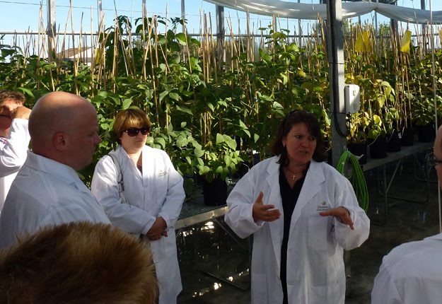 Lumina Contiu, responsable en R et D et sélectionneuse de soya à Ceresco, explique à des visiteurs comment elle procède pour créer de nouvelles variétés de soya. Crédit photo : Martin Primeau