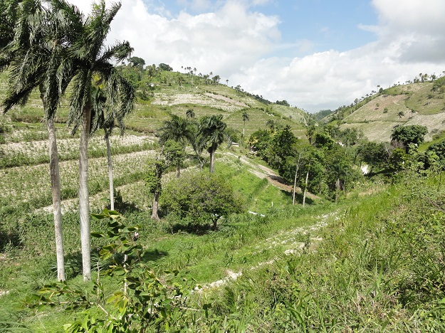 La région de Labrousse en Haïti, avant le passage de l’ouragan Matthew. Crédit photo : Gracieuseté d’UPA DI
