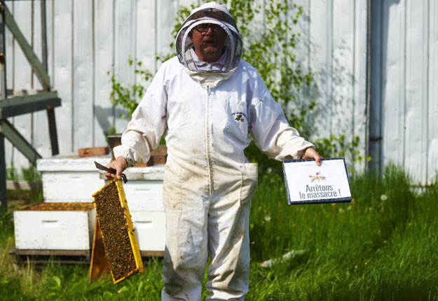 La proposition du fédéral de bannir d’ici trois à cinq ans l’un des néonicotinoïdes plaît aux apiculteurs, qui mentionnent depuis des années que les néonics empoisonnent leurs abeilles. Crédit Photo : Martin Ménard/TCN