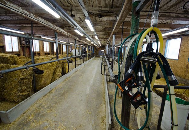 Faute de relève pour cette ferme bio, le silence s’est emparé de l’étable. Les lieux seront transformés pour entreposer du foin de commerce bio. Crédit photo : Martin Ménard/TCN
