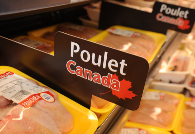 À terme, le Québec devrait produire quelque 26,5 % du poulet consommé au Canada. Crédit photo : Archives/TCN