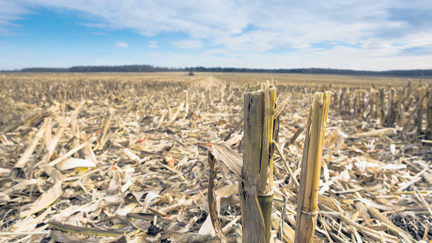 En réaction au prix élevé des terres, des producteurs ont même recours à un financement sur 40 à 50 ans. Crédit photo: Marie-Michèle Trudeau / TCN