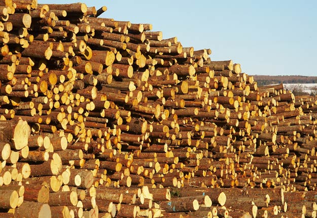 Le bois d’œuvre est l’un des secteurs économiques québécois dont les exportations ont le plus augmenté en 2016 avec 16 % de plus en volume. Crédit photo : Archives/TCN