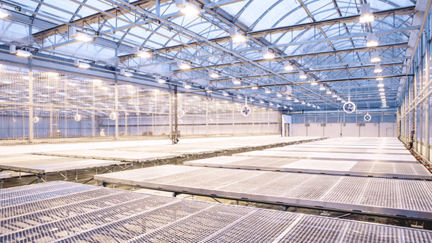Hydropothecary a annoncé l’ajout d’un bâtiment de 250 000 pi2 contenant des serres, des laboratoires et des entrepôts. Crédit photo: Gracieuseté d’Hydropothecary