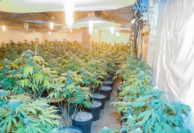 La grange transformée par les locataires de Jean-Paul Laroche contenait sept salles de production de cannabis. Crédit photo: Sûreté du Québec