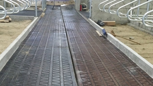La litière recyclée est le produit de l’heure chez les commerçants comme VYF Distribution, car elle permet d’augmenter le confort des vaches tout en améliorant l’autonomie de la ferme.
