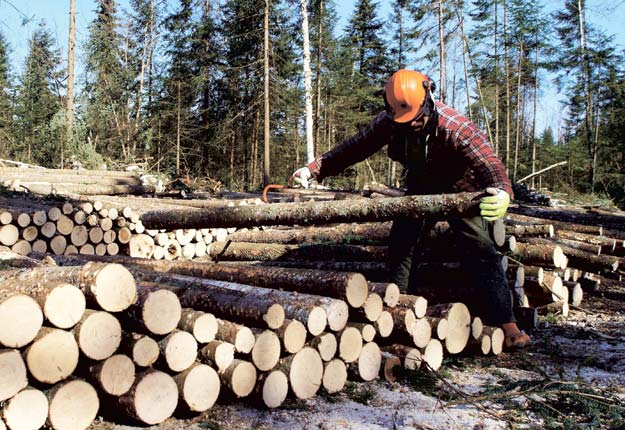 Quelques 60 000 travailleurs oeuvrent dans l'industrie forestière au Québec. Crédit photo: Archives TCN