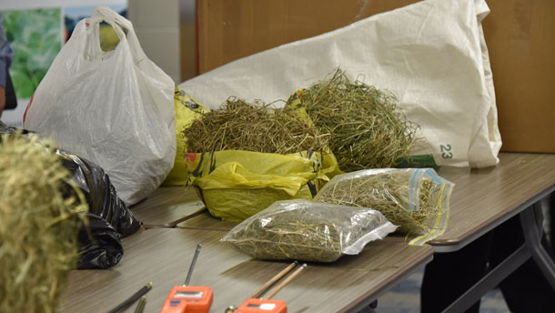Pascal Bouffard, de Bouffard’s Hay Stack, conseille de toujours traîner son testeur à main pour contre-vérifier le taux d’humidité. Même à une journée de formation! Crédit photo : Christian Duchesneau