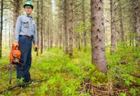 Le forestier Jacques Lavoie se désole de voir les épinettes blanches qu’il a plantées avec son père ravagées par la tordeuse. Crédit photo : Martin Ménard/TCN