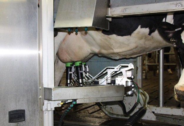 Le Programme d’investissement pour fermes laitières suscite un véritable engouement chez les éleveurs de bovins laitiers. Crédit photo : Archives/TCN