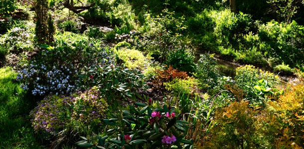 C’est dans son jardin que la comédienne a trouvé le calme nécessaire pour affronter la maladie. Crédit photo : Gracieuseté de Susie Almgren