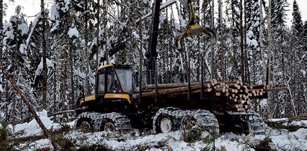 La santé et la sécurité au travail en forêt font désormais partie des valeurs des entreprises forestières, ce qui a fait baisser le nombre d’accidents. En ce qui concerne les machines, les accidents surviennent principalement lors de leur maintenance ou de leur réparation. Crédit photo : Guillaume Roy