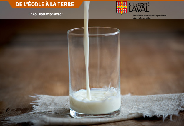 Le lait est un milieu très propice au développement de microorganismes tout au long du continuum, de la ferme à l’usine.