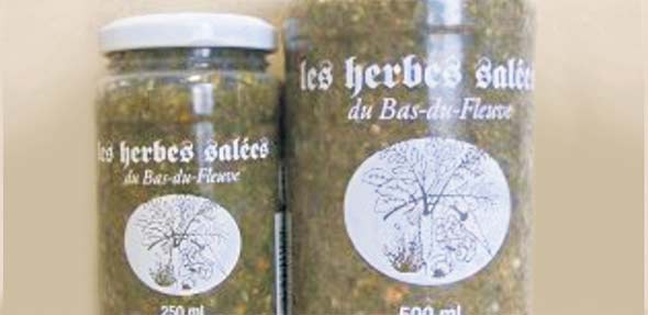 JF_Herbes_salees