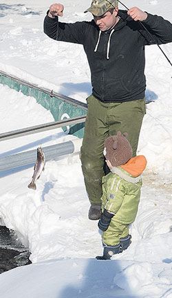 Le propriétaire Mathieu devant son fils Léopold sort une truite arc-en-ciel de l’étang. Crédit photo: Myriam Laplante El Haïli / TCN