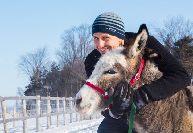 Jérémie Pilon loue plusieurs de ses quelque 500 animaux de ferme pour différentes occasions. Ses protégés sont également les vedettes de son site champêtre La Rabouillère, situé à Saint-Valérien-de-Milton, en Montérégie. Crédit photo : Martin Ménard/TCN