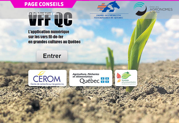 L’outil VFF Qc a été développé par le CÉROM en collaboration avec le MAPAQ et la Stratégie phytosanitaire québécoise en agriculture.