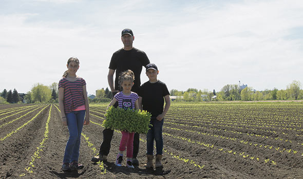 Simon Leblanc (au centre) et d’autres petits producteurs se sont regroupés pour vendre des choux napa aux communautés asiatiques des États-Unis, un marché qu’ils auraient pu difficilement développer seuls. Crédit photo : Gracieuseté de la Ferme J-L Leblanc
