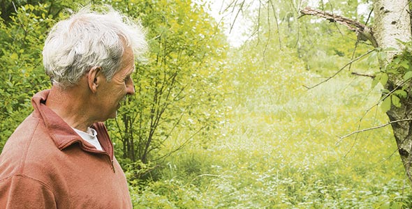Sur une partie de la terre de 40 hectares de Marcel Brais, des cèdres ont commencé à pousser. Le REA interdit de remettre cette portion en culture. Pourtant, son propre père la cultivait, mais c’était avant le règlement de 2004. Malheureusement, aucune photo ne le prouve. Crédit photo : Martin Ménard / TCN