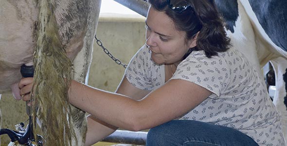 Michelle Émilie Frenette, dans la jeune vingtaine, est la doyenne du groupe. Elle vient chercher un complément de formation pour poursuivre son changement de carrière et passer de l’architecture à la production laitière.