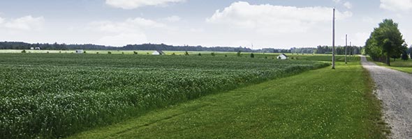 Saint-Lambert-006_mod