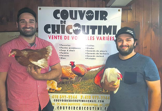 Sébastien et Guillaume Maltais, du Couvoir de Chicoutimi, prévoient commander 500 poules de plus l’an prochain afin de répondre à la demande grandissante du public. Crédit photo: Gracieuseté du Couvoir