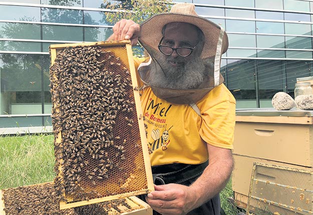 Mario Brodeur est calme et posé lorsqu’il s’occupe des ruches du Miel de Bonneau. Une qualité indispensable pour les apiculteurs. Crédit photo : Josianne Desjardins / TCN