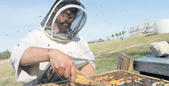 Mathieu Gauthier s’affaire dans les ruches de la Miellerie du cratère de Charlevoix.