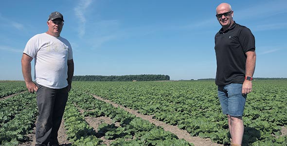 Ferme Jean Forest et Fils. Des bok choy, des choux plats, des choux napa et courges kabocha sont produits en champs à Saint-Jacques-de-Montcalm. Ces légumes asiatiques sont ensuite distribués par Organzo, aux États-Unis et même en Asie.