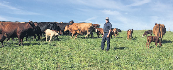 Gilles Saint-Laurent est producteur bovin et sentinelle dans La Matapédia. Crédit photo : Gracieuseté