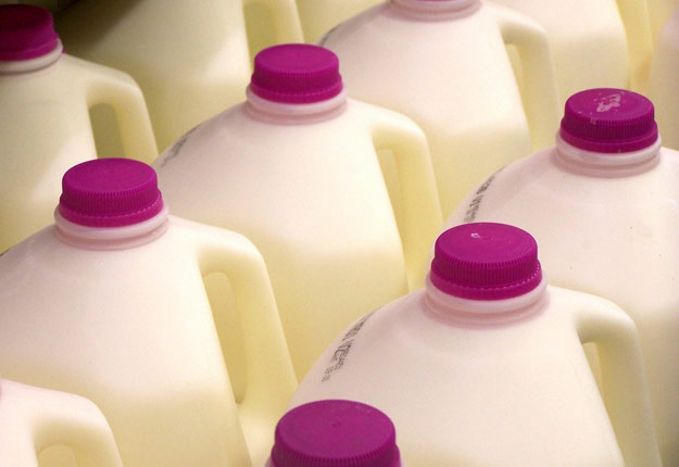 L’USDA achètera l’équivalent de 12 à 15 millions de gallons de lait afin de soutenir l’industrie laitière américaine. Crédit photo : Shutterstock.com