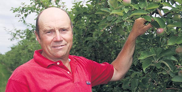 Mario Bourdeau, vice-président des Producteurs de pommes du Québec, attend que la McIntosh rougisse dans son verger d’Havelock. Crédit photo : Gracieuseté de Mario Bourdeau