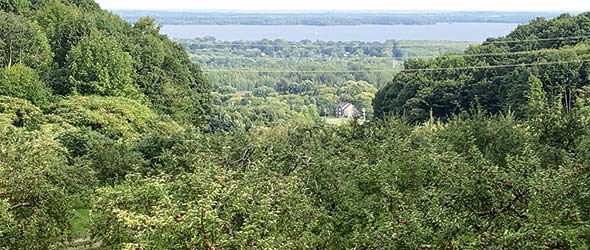 Du plus haut point du verger familial de onze hectares, on a une vue imprenable sur Montréal.