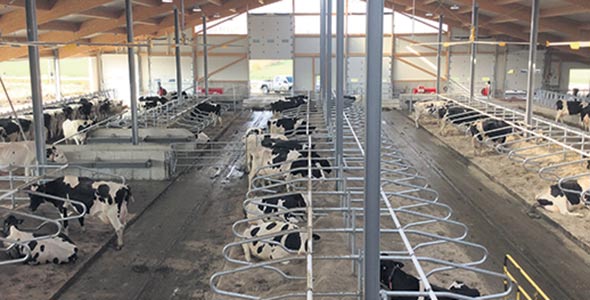 Fermes_Allemandes_Mirabel2