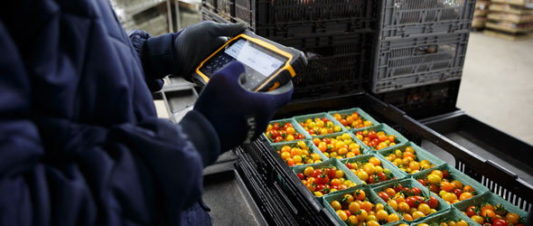 Les dirigeants ont développé un système informatique poussé pour préparer les commandes et dépister les insectes. Crédit photo : Les Fermes Lufa