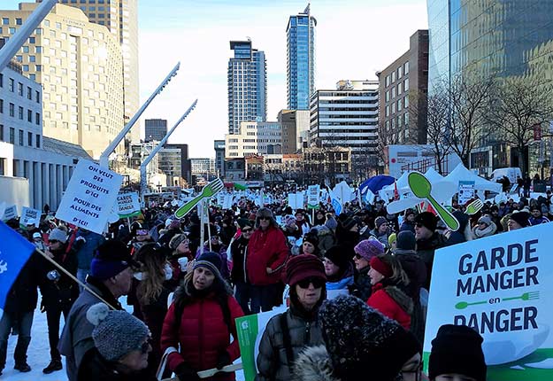 Plus de 5 000 marcheurs se sont rassemblés ce dimanche au centre-ville de Montréal pour souligner l’importance d’appuyer les producteurs agricoles du Québec. Crédit photos : Martin Primeau