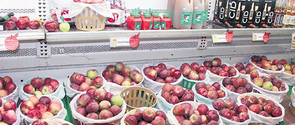 Plusieurs produits locaux sont en vente au Verger des Horizons.