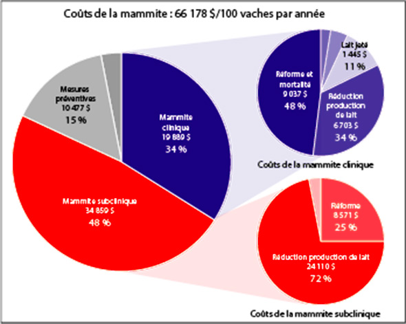 graphique_page-conseils