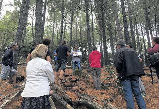 Au cours de leur séjour en Espagne, les membres de la délégation ont été en mesure de constater l’ampleur des recherches réalisées dans le domaine de la culture des champignons forestiers comme ici, dans la forêt de Poblet. Crédit photo : Pierre Saint-Yves