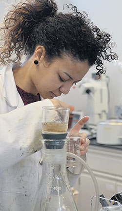 Hiba Benmohammed, étudiante à la maîtrise, analyse méticuleusement des racines dans le laboratoire de l’Unité de recherche.
