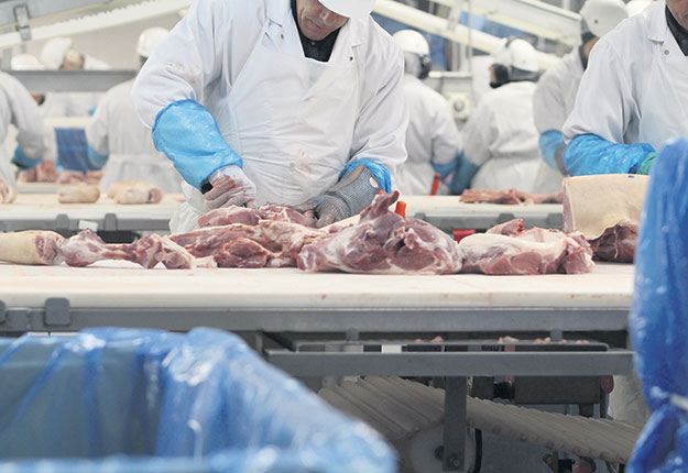 Olymel transforme ses usines pour augmenter ses exportations de porc réfrigéré au Japon. Crédit photos : Myriam Laplante El Haïli/TCN