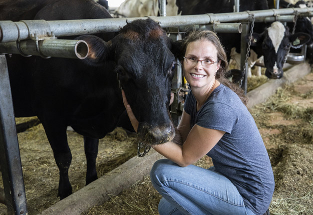 Mélanie Gagné et la Fédération de producteurs des races patrimoniales du Québec (FPRPQ) sont à pied d’œuvre pour sauver la centaine de vaches de race pure Canadiennes. Crédit photo : Emilie Nadeau, MAPAQ