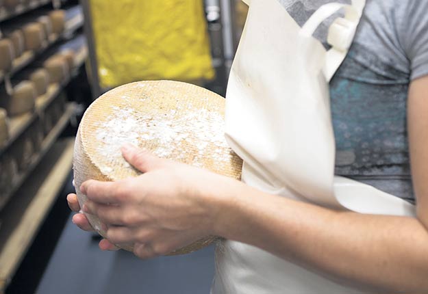 Un fromage de lait de brebis espagnol Manchego vieilli 12 mois se vend actuellement 27 $/kg dans les épiceries de la province, alors que son équivalent québécois, le Zacharie Cloutier de la Fromagerie Nouvelle-France, coûte 71 $/kg. Photo : MM Trudeau.