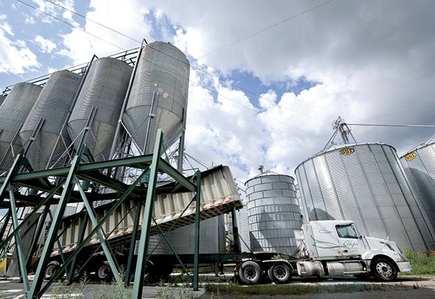 L’entreprise Olofée effectue 90 % de son transport de grain par elle-même. Photos : Ferme Olofée