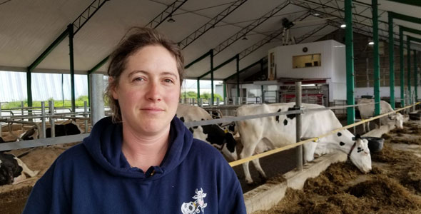 La récolte insuffisante de foin en 2018 a obligé Laetitia Létourneau à changer sa stratégie d’alimentation pour ses vaches. Photo : Laetitia Létourneau